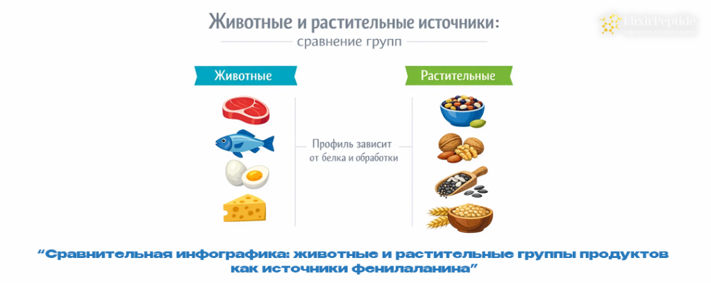 Сравнительная инфографика- животные и растительные группы продуктов как источники фенилаланина.png Сравнительная инфографика- животные и растительные группы продуктов как источники фенилаланина.png