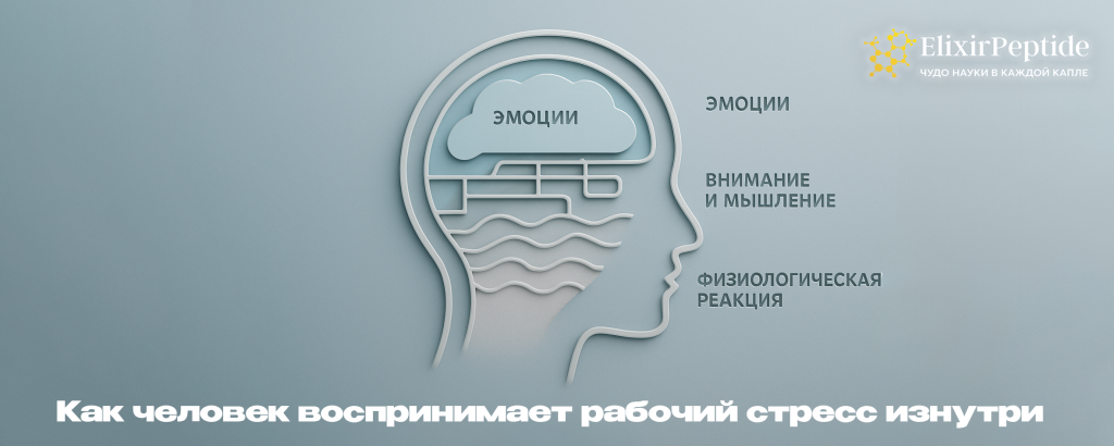 Как человек воспринимает рабочий стресс изнутри.png Как человек воспринимает рабочий стресс изнутри.png