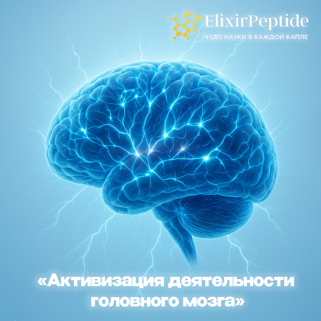 Активизация деятельности головного мозга .png