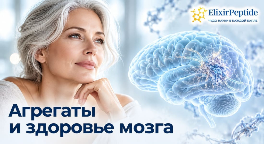 agregaty-i-zdorove-mozga.jpg agregaty-i-zdorove-mozga.jpg