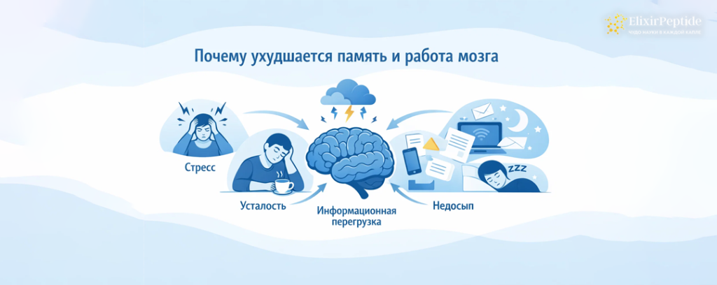 Почему ухудшается память и работа мозга.png Почему ухудшается память и работа мозга.png