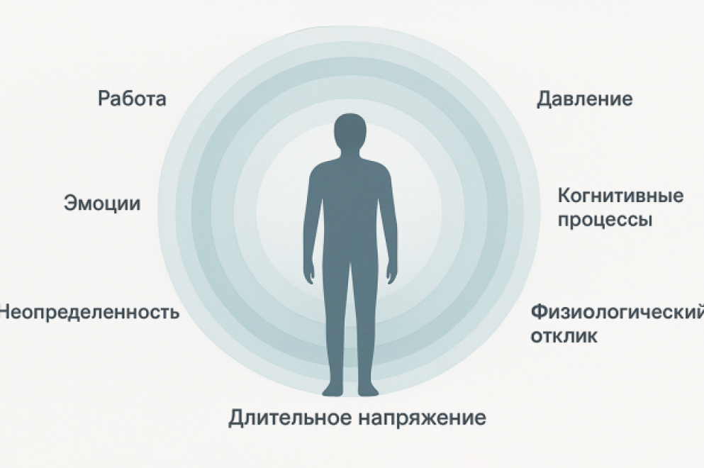 Причины и последствия хронического стресса у человека