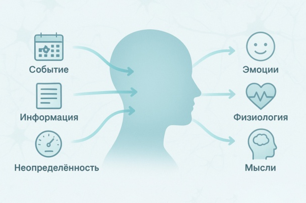Стресс: что это такое и как он влияет на организм